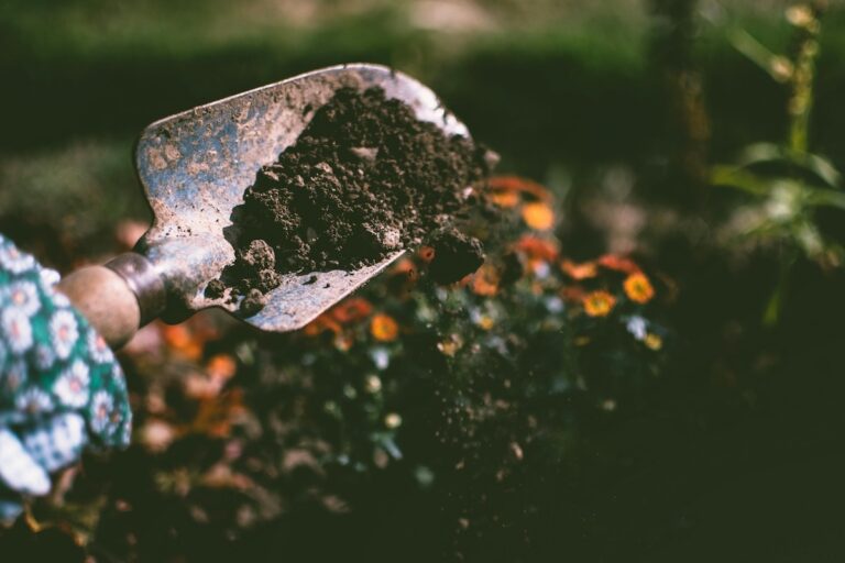 Préparation et entretien d'un jardin au printemps