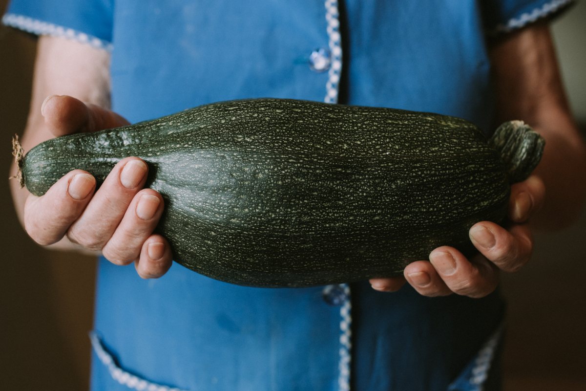 Des mains tenant une grosse courgette