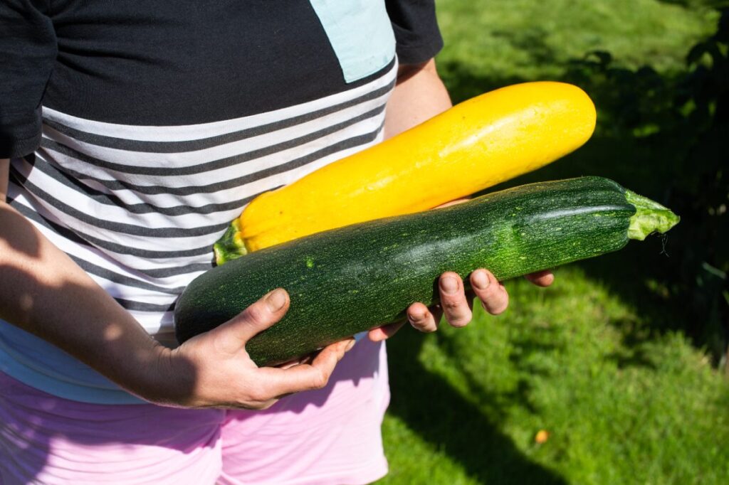 Une personne qui tient des courgettes vertes et jaunes