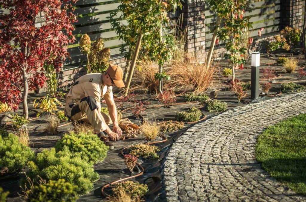 Un paysagiste arrangeant des plantes dans un jardin