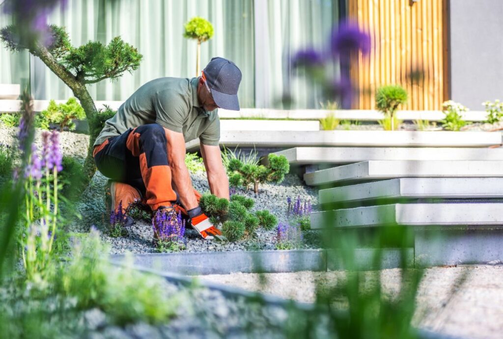 Un paysagiste plantant un arbre dans un jardin