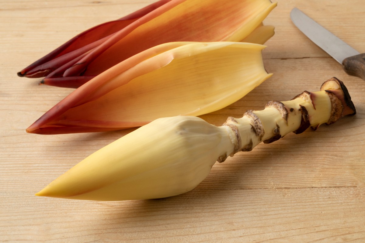 Fleur de bananier avec un couteau