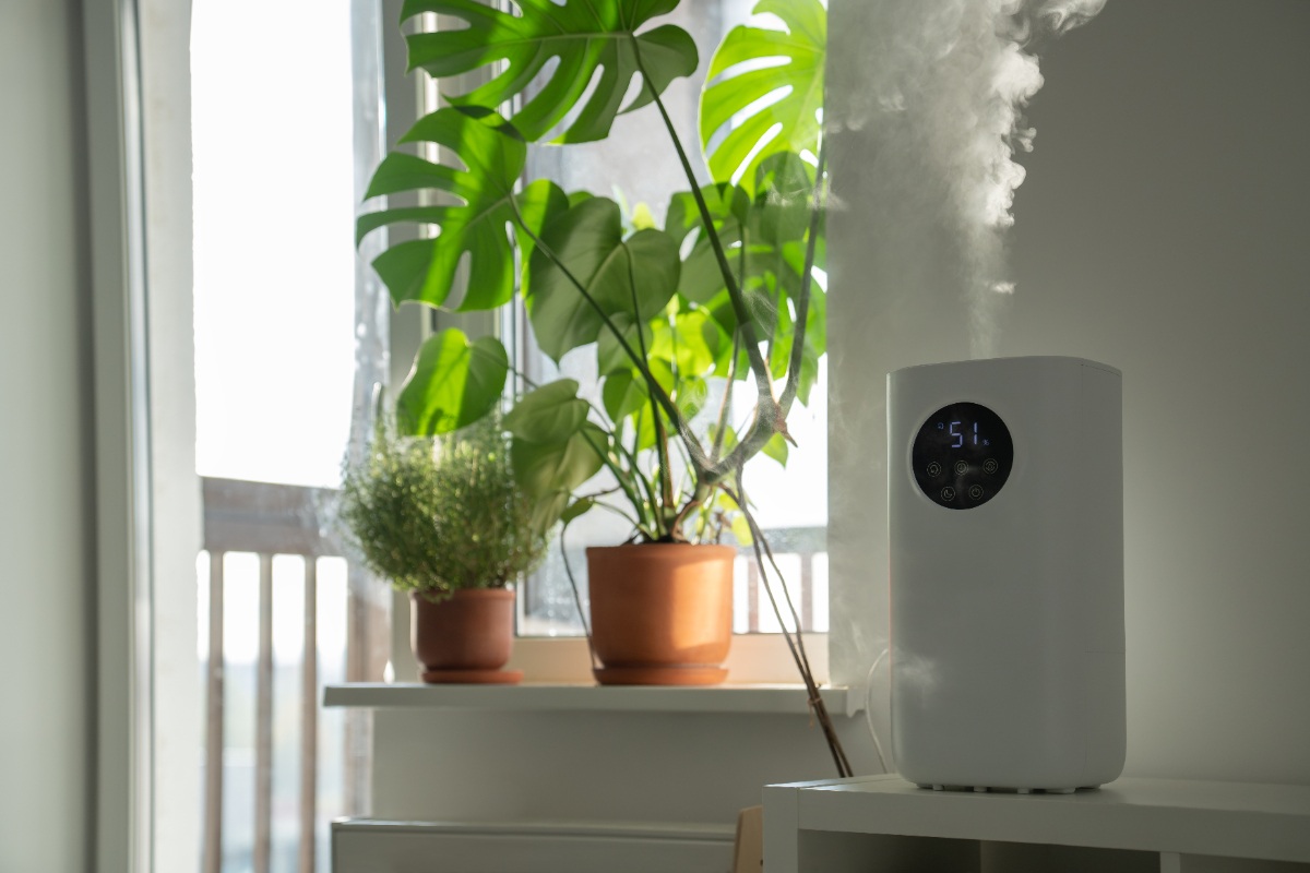 Un humidificateur moderne posé dans une maison avec des plantes vertes
