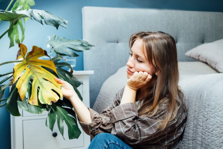 Une femme qui examine la feuille jaune d'un monstera